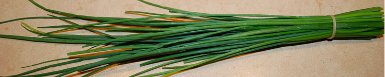chive banner2